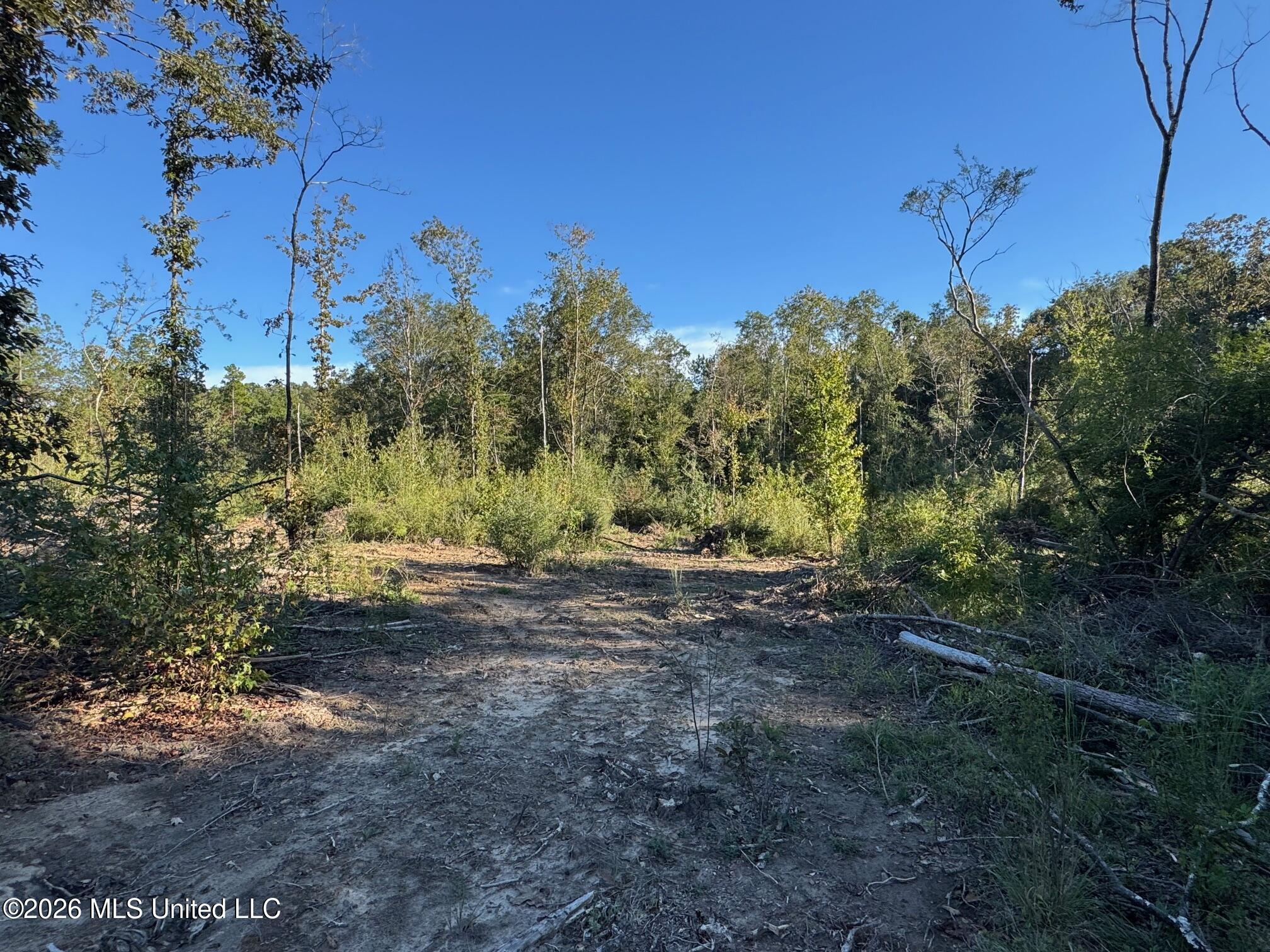 Xxx Emma Kelly Road Magnolia, MS 39652 - Photo 25 of 33 Emma Kelly 18