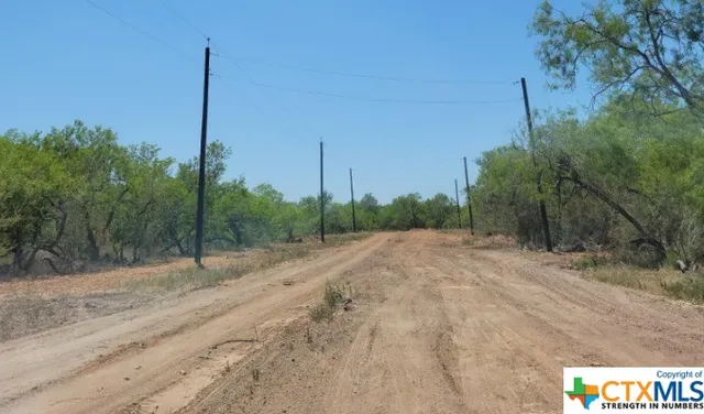 a view of a road with a tree in the background