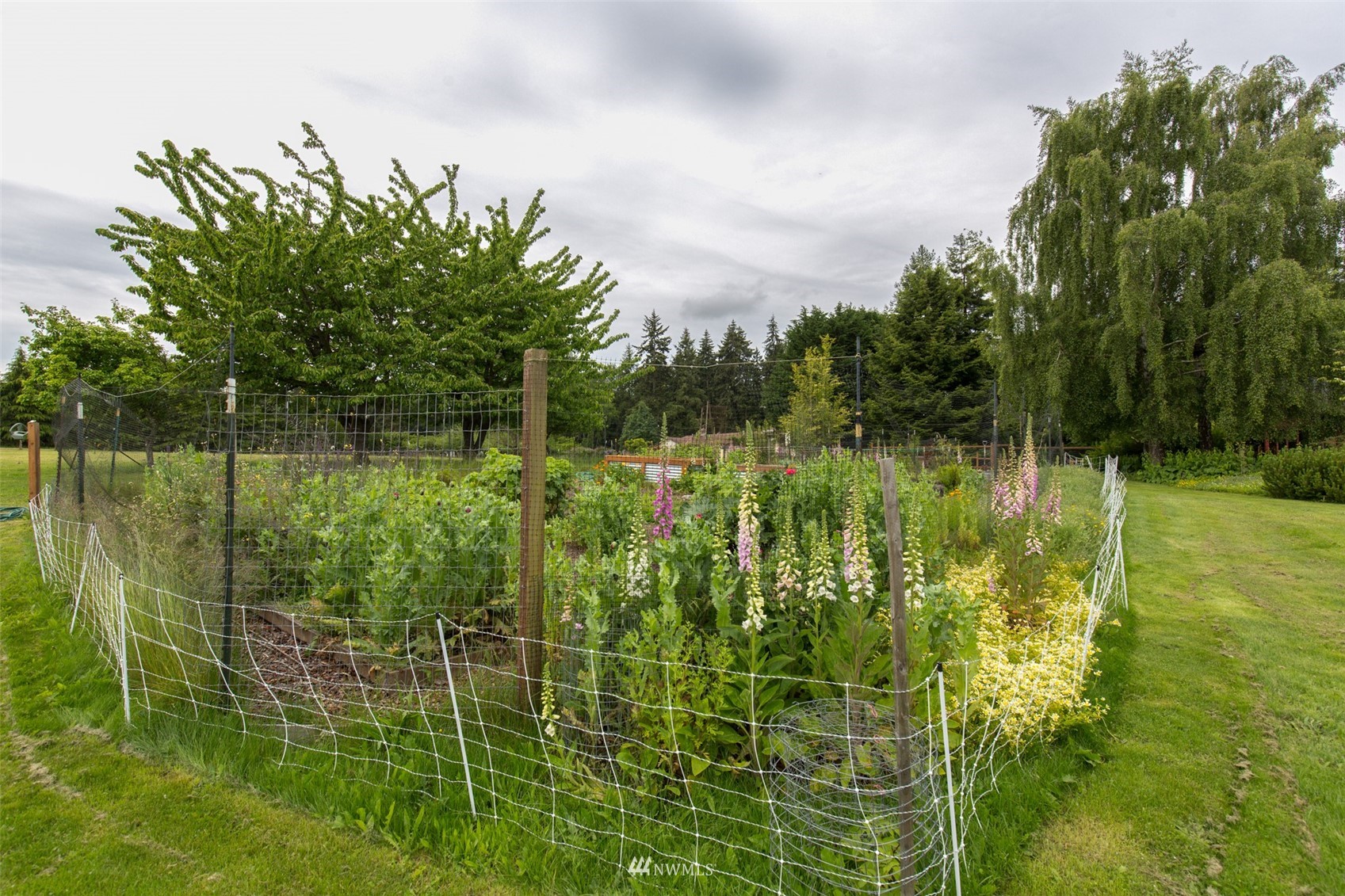 313 Applegate Lane Sequim, WA 98382 - Photo 30 of 40 a view of a lake view with a big yard