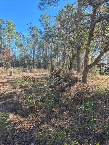 $45,000 | 87 Ter Belleview, Belleview, FL 34420