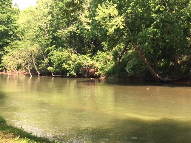 20 Buffalo River Linden, TN 37096 - Photo 3 of 6 a view of a ocean view