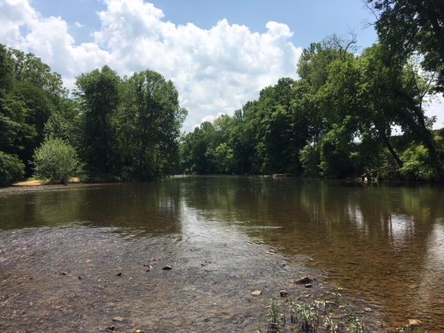 20 Buffalo River Linden, TN 37096 - Photo 5 of 6