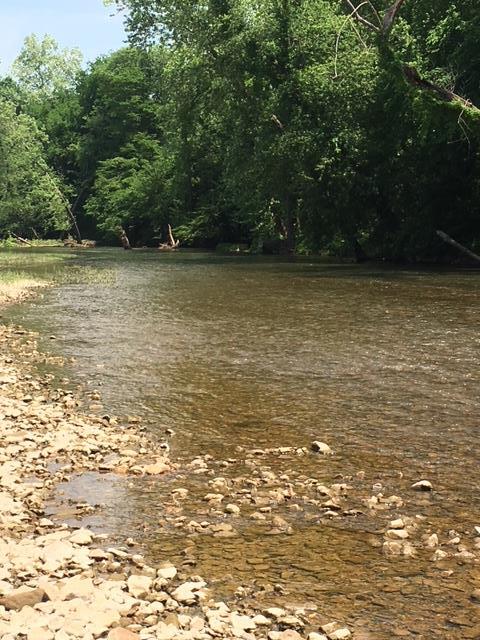 20 Buffalo River Linden, TN 37096 - Photo 6 of 6 a view of a ocean view
