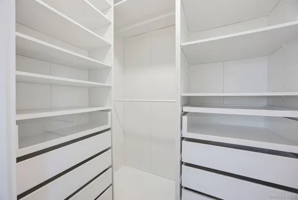 a view of walk in closet with empty racks