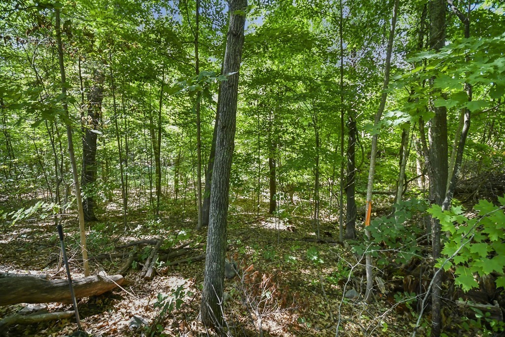 124-2 Gore Road Webster, MA 01570 - Photo 6 of 14