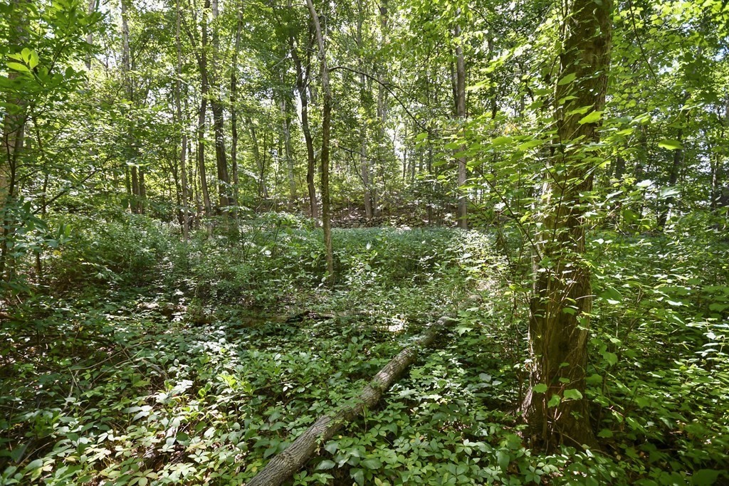 124-2 Gore Road Webster, MA 01570 - Photo 9 of 14