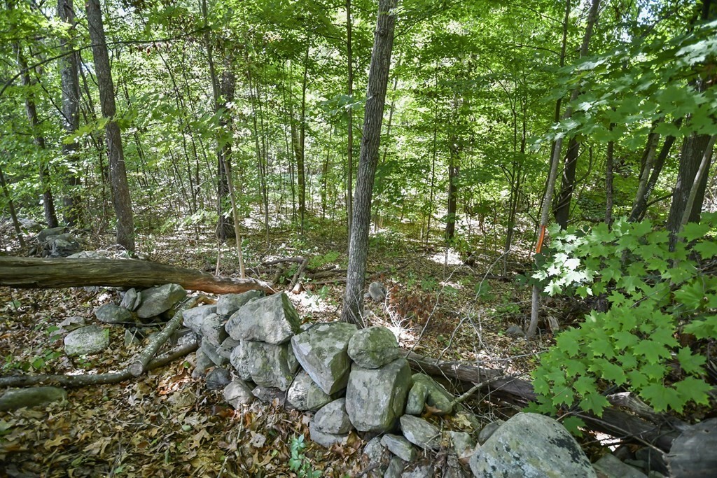 124-2 Gore Road Webster, MA 01570 - Photo 10 of 14