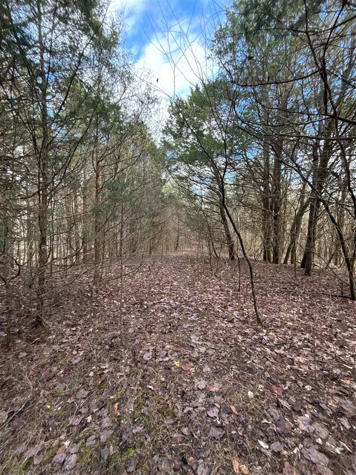 Ac Old Kessler Ridge Road Tompkinsville, KY 42167 - Photo 4 of 10 Gallery Image 4