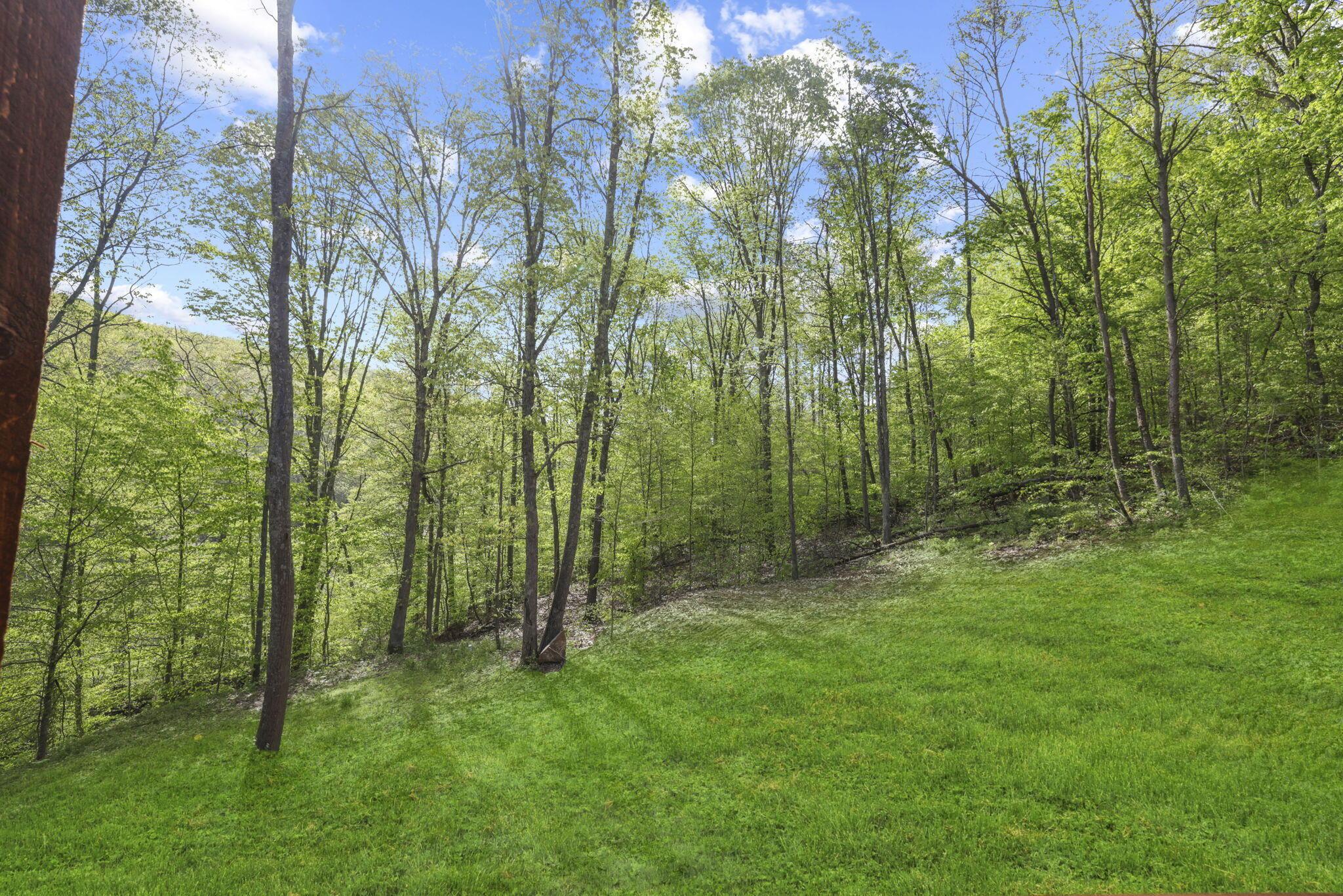 16073 Nickel Plate Road Logan, OH 43138 - Photo 49 of 58 25-web-or-mls-GR7A8621