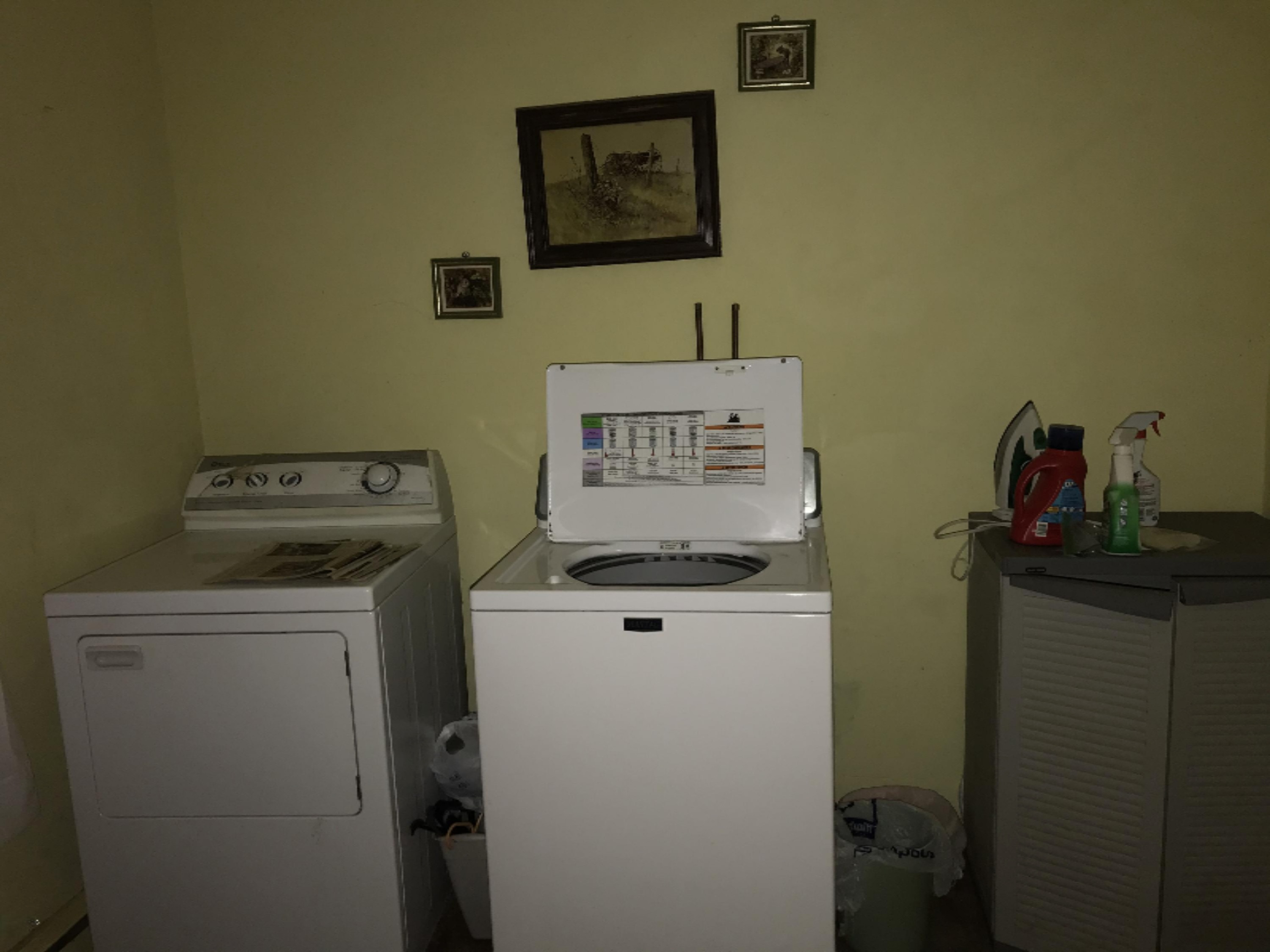 16309 Raz Road Union Pier, MI 49129 - Photo 8 of 10 Kugler Laundry