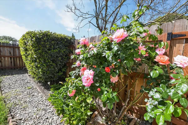 $935,000 | 710 Villanova Drive, Davis, CA 95616