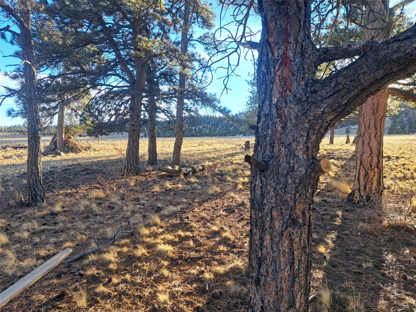 186 Boulder Road Hartsel, CO 80449 - Photo 24 of 33 Gallery Image 24