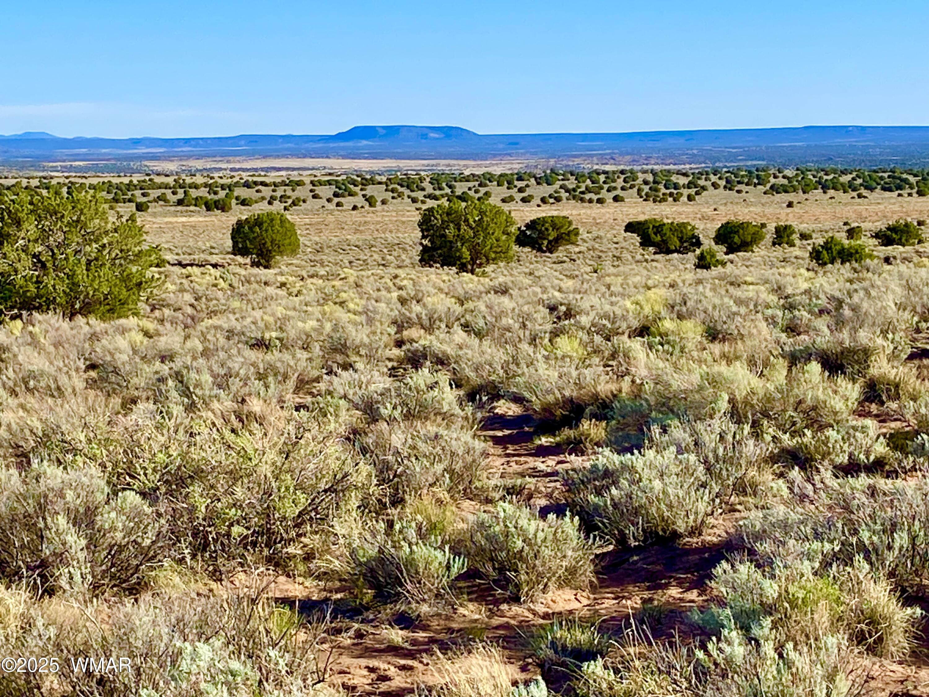 River River Meadows Ranch Concho, AZ 85924 - Photo 8 of 22