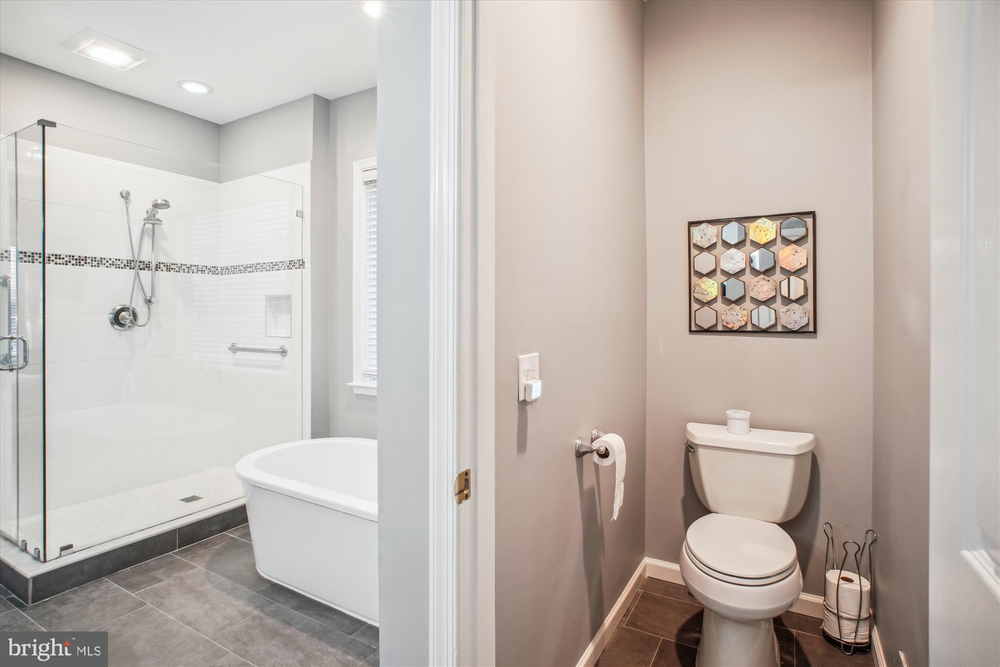 2454 Arctic Fox Way Reston, VA 20191 - Photo 25 of 54 a bathroom with a toilet and a shower