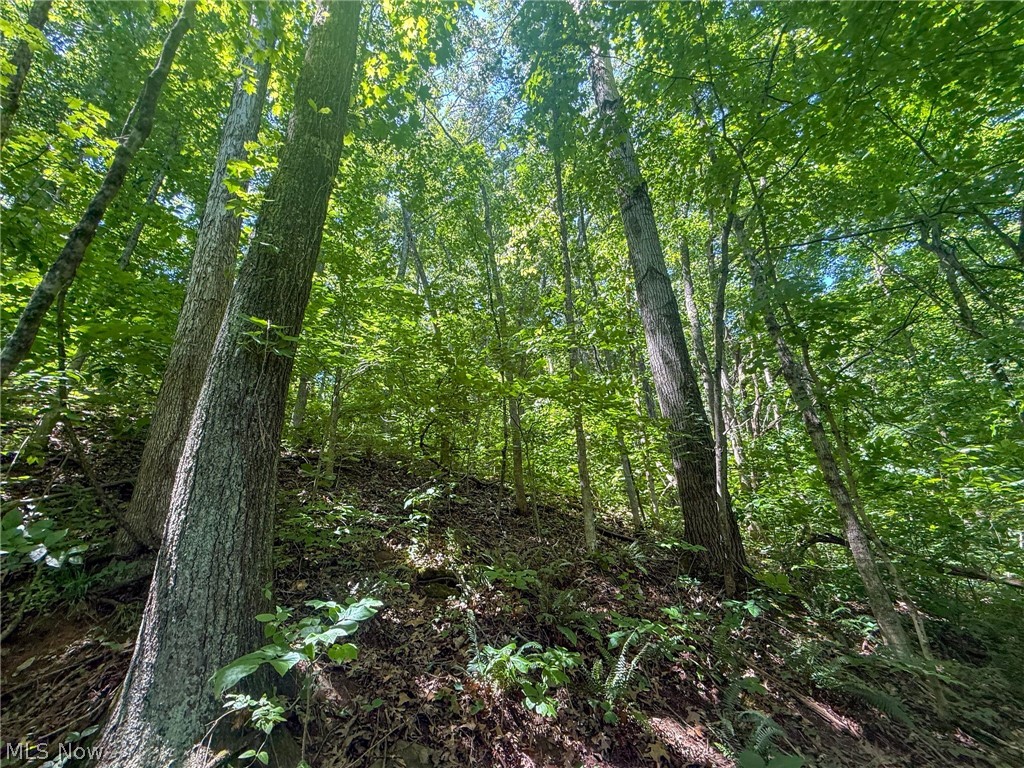 Keffer Road Stockport, OH 43787 - Photo 15 of 25