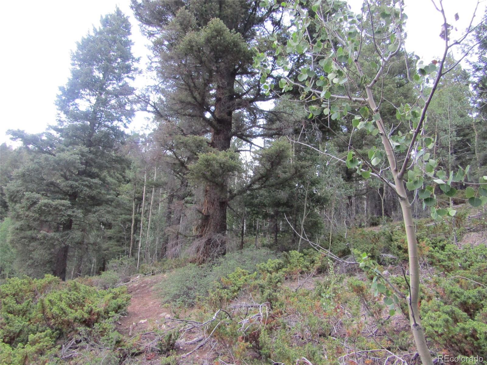 Lot 6461 Jacquez Road San Luis, CO 81152 - Photo 9 of 22