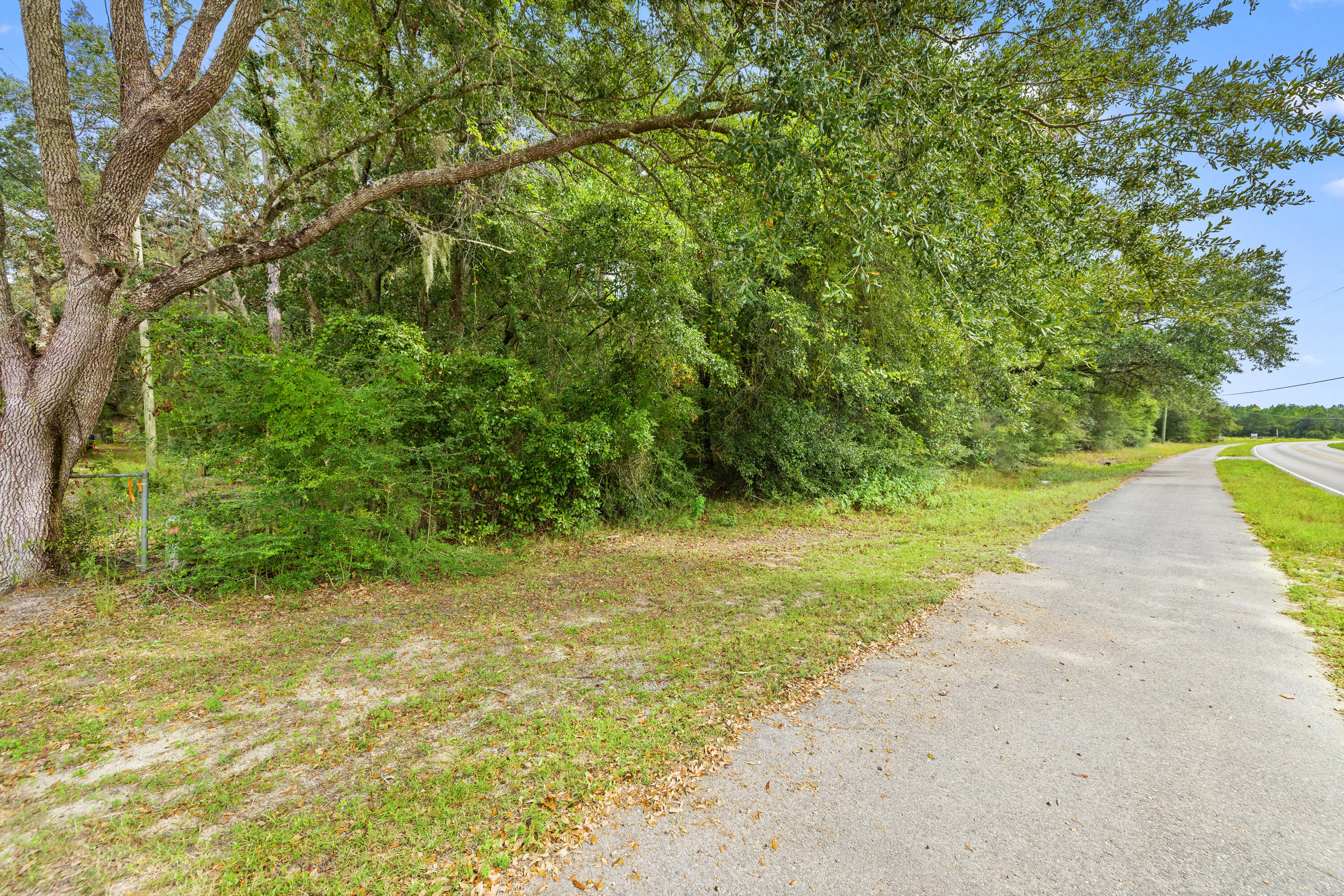 0 County Highway 83A West Freeport, FL 32439 - Photo 14 of 25 a view of a yard with a trees
