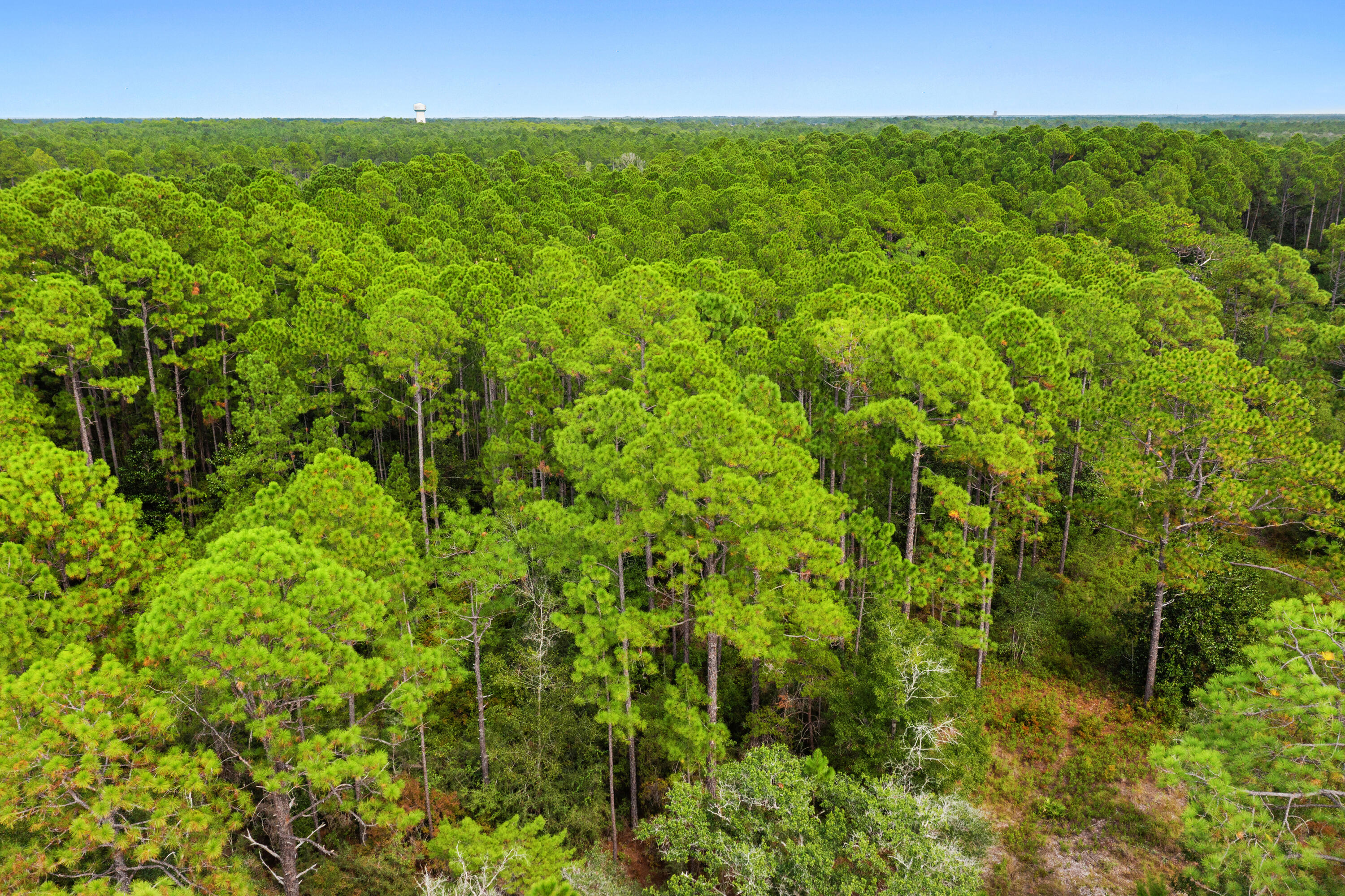 0 County Highway 83A West Freeport, FL 32439 - Photo 15 of 25 a view of yard with lush green space