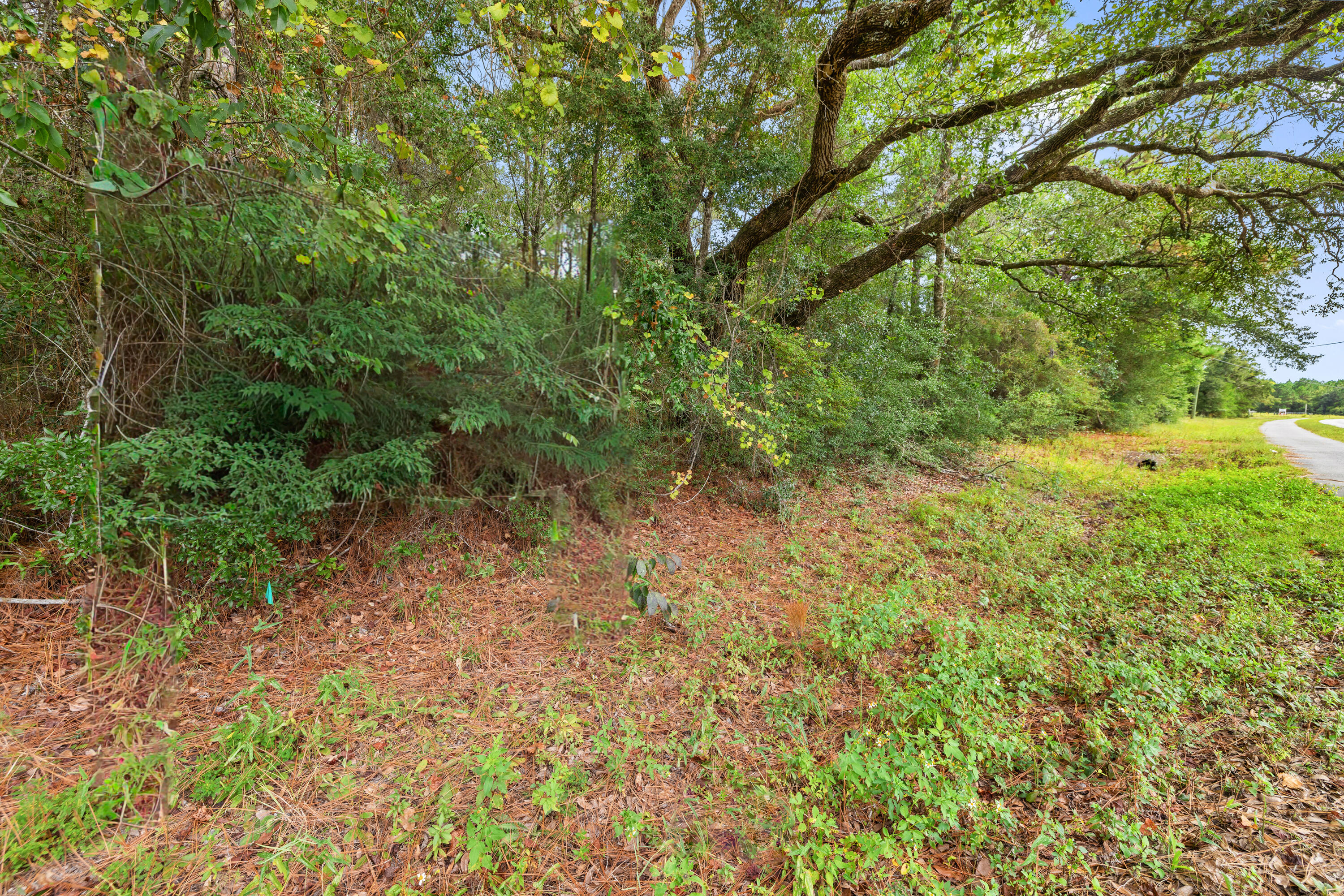 0 County Highway 83A West Freeport, FL 32439 - Photo 16 of 25 a view of a yard with a tree
