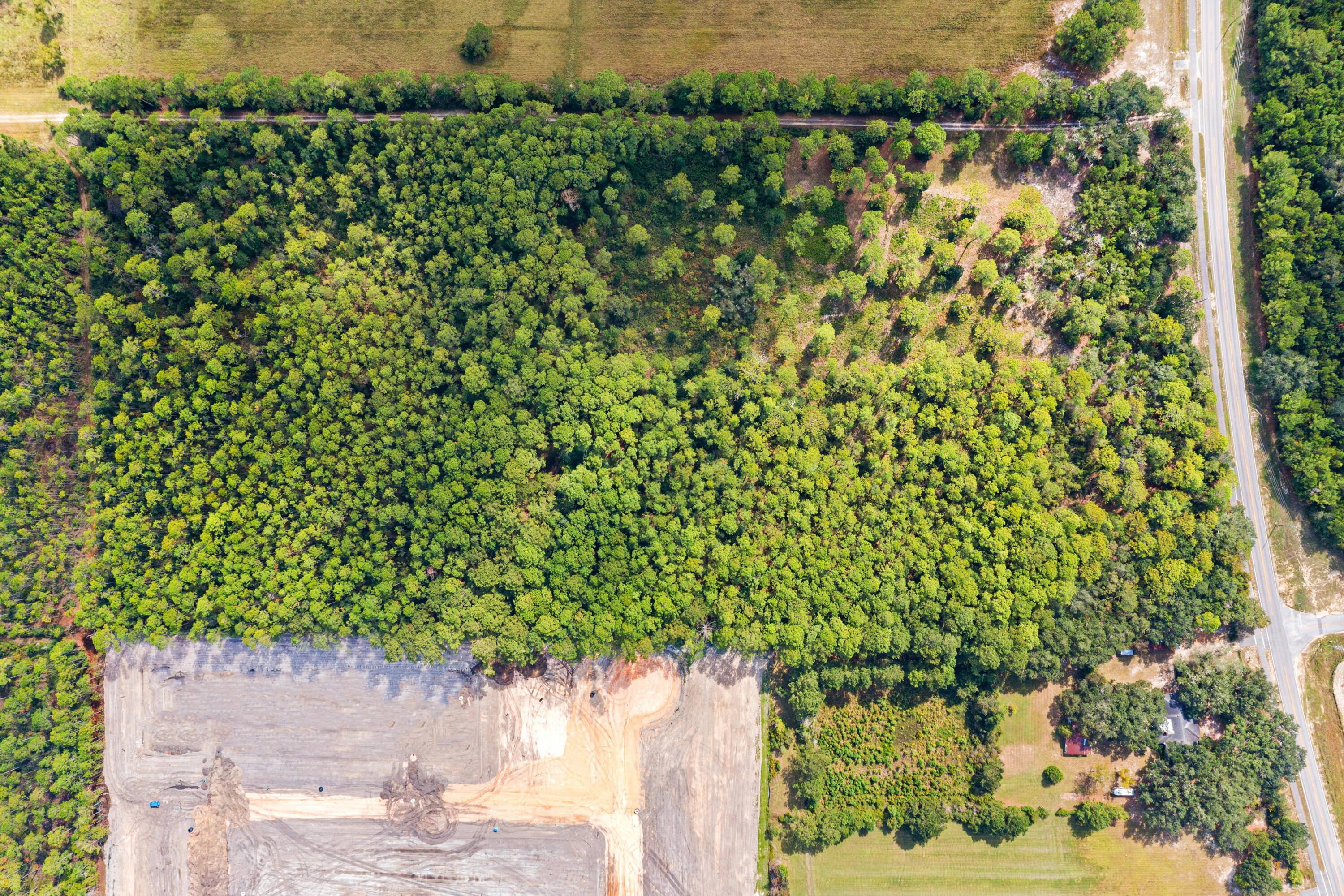 0 County Highway 83A West Freeport, FL 32439 - Photo 17 of 25 a backyard of a house with lots of green space
