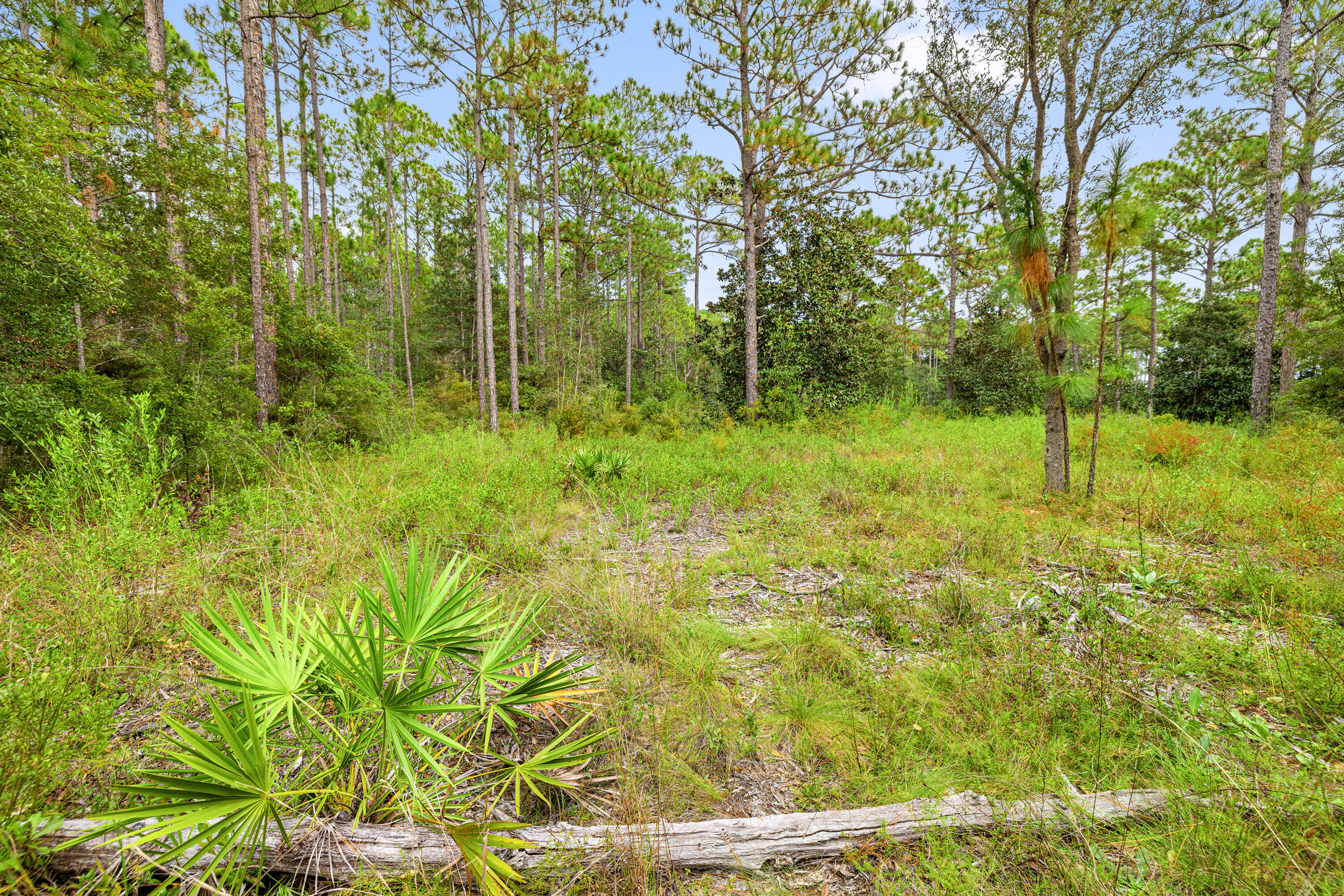 0 County Highway 83A West Freeport, FL 32439 - Photo 7 of 25 a view of outdoor space and trees all around