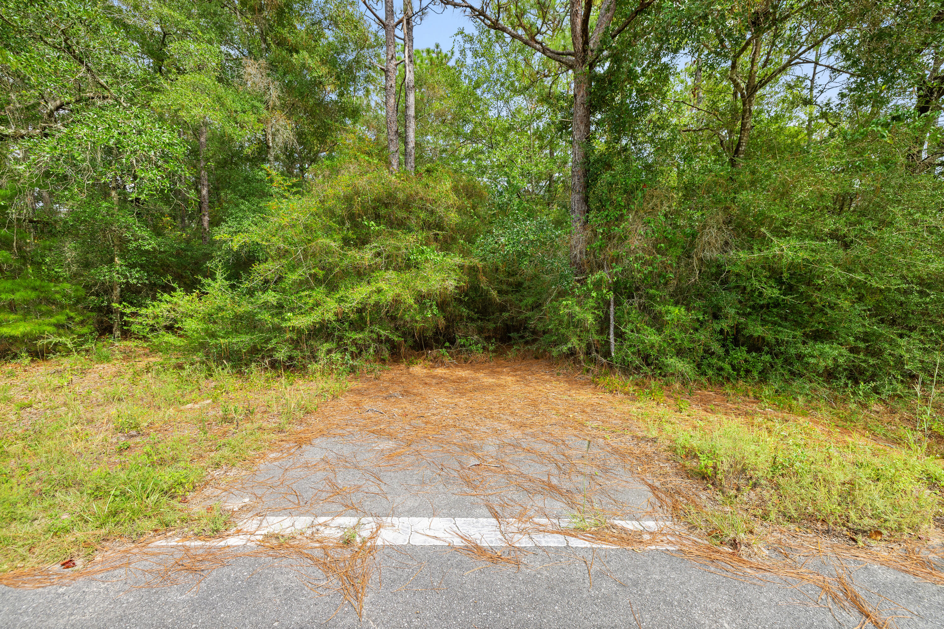 0 County Highway 83A West Freeport, FL 32439 - Photo 9 of 25 a view of a yard with plants and large trees