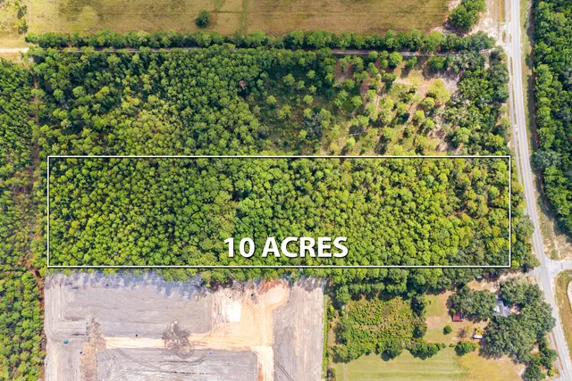 a view of a city with lush green forest