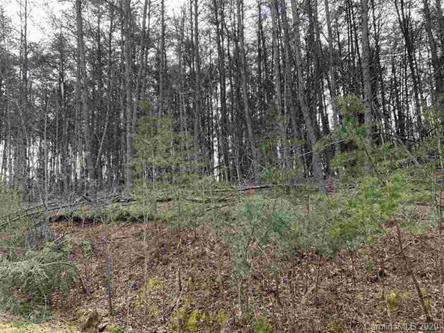13 Stoneway Lane Rutherfordton, NC 28139 - Photo 1 of 1 a view of outdoor space with green space