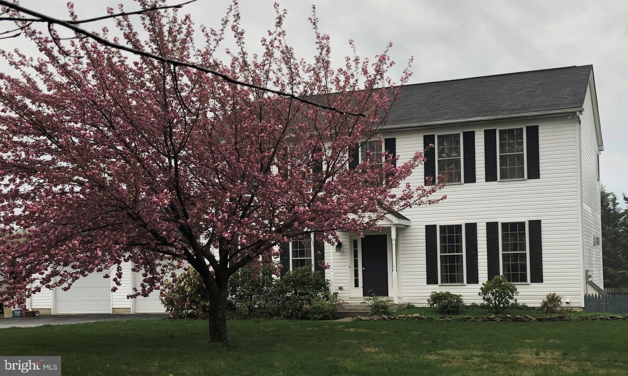 14127 Peddicord Road Mount Airy, MD 21771 - Photo 48 of 48 Front View with Cherry Tree in Bloom