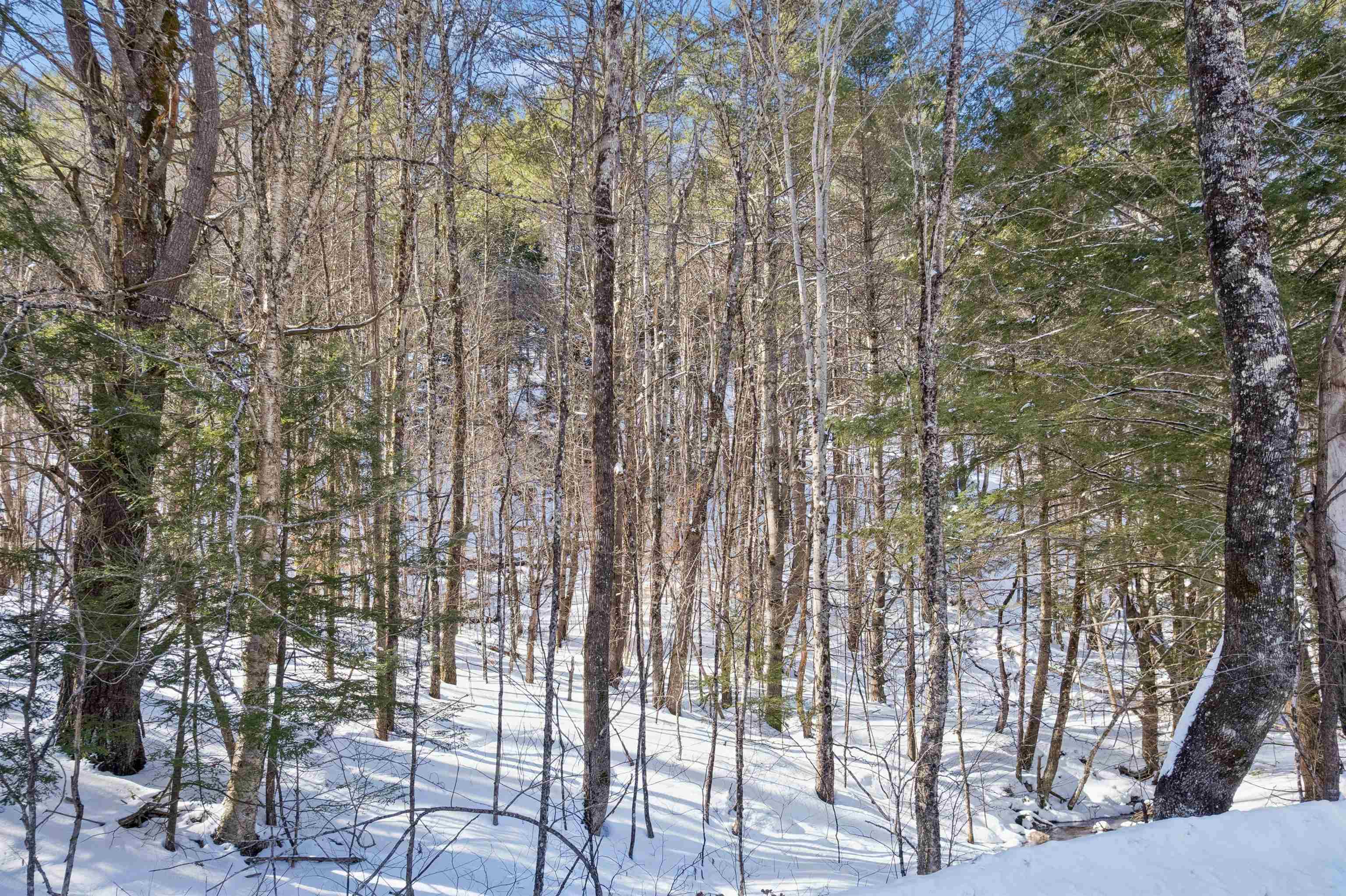 153 Russell Road Tunbridge, VT 05077 - Photo 18 of 19