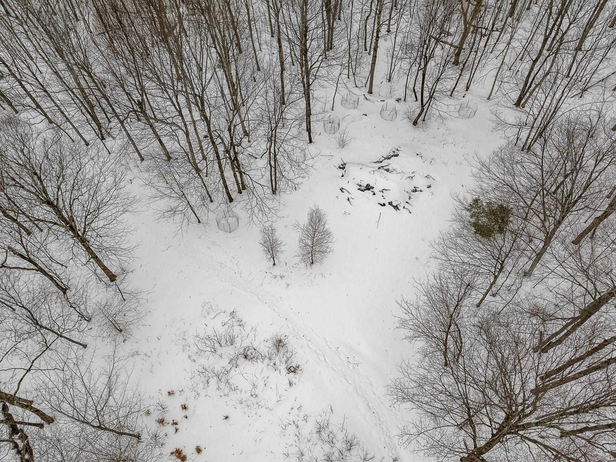 115 Stone Hill Road Bolton, VT 05465 - Photo 2 of 54