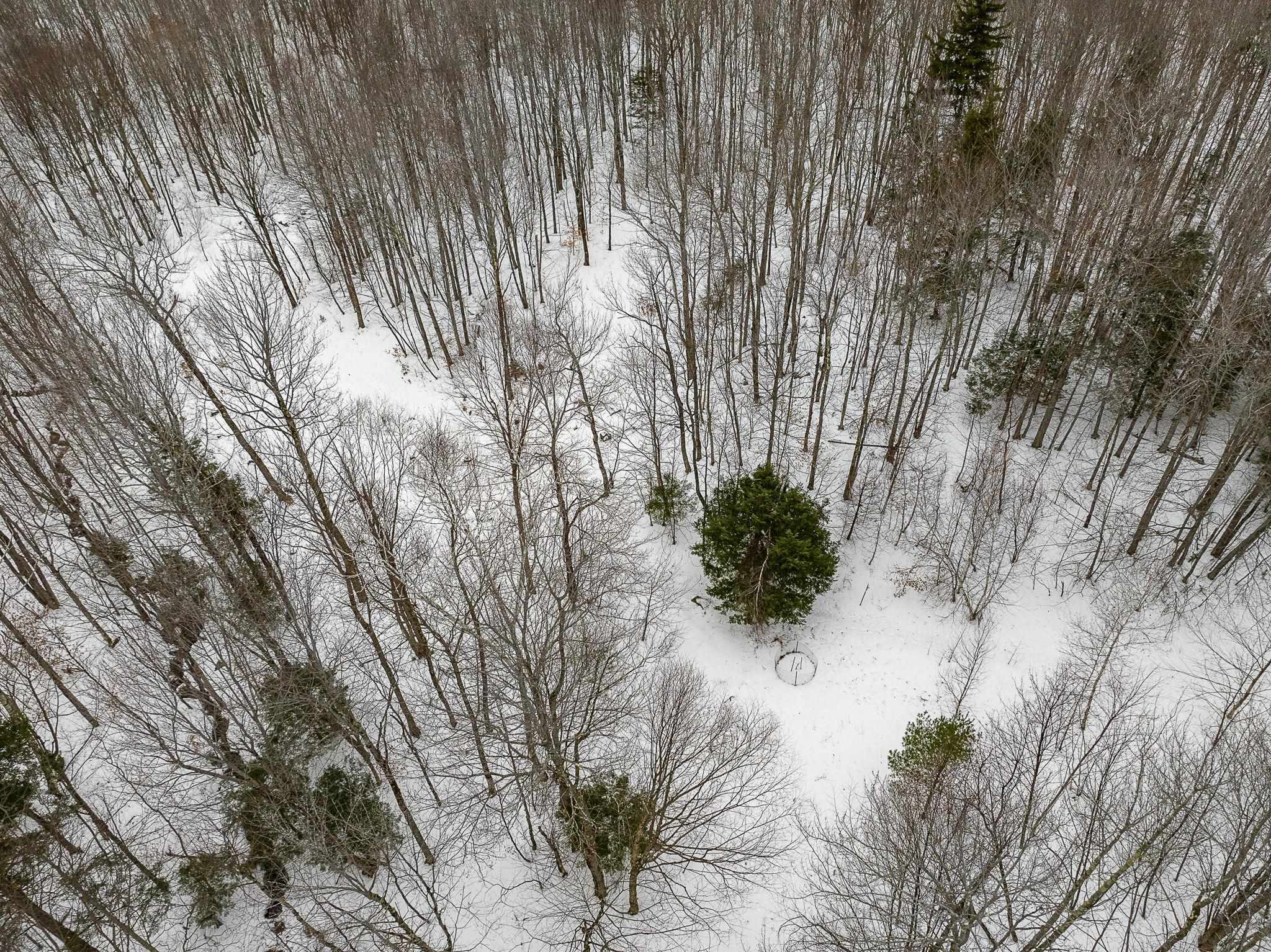 115 Stone Hill Road Bolton, VT 05465 - Photo 21 of 54