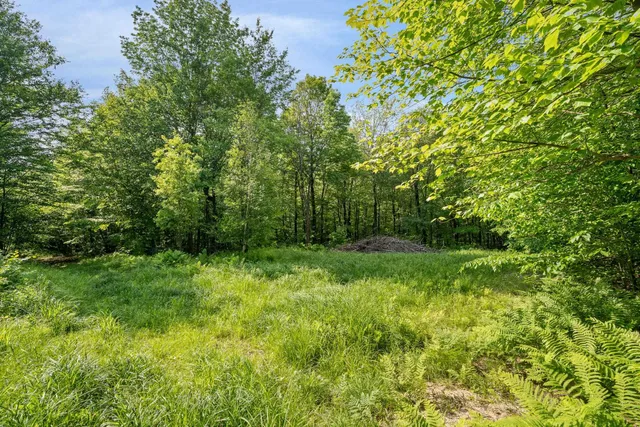 $335,000 | 115 Stone Hill Road, Bolton, VT 05465