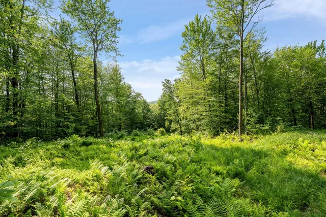 $335,000 | 115 Stone Hill Road, Bolton, VT 05465