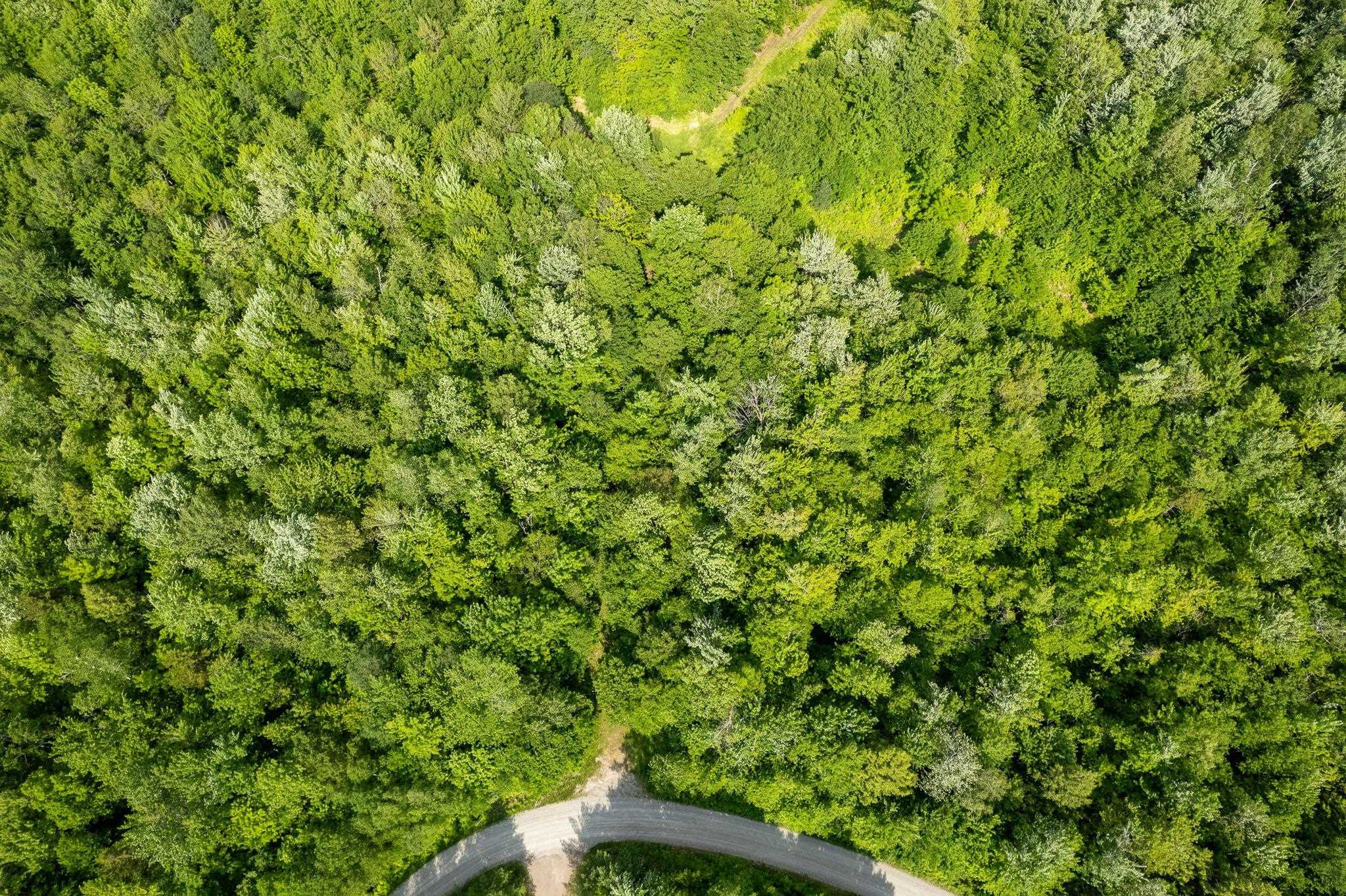 115 Stone Hill Road Bolton, VT 05465 - Photo 30 of 54