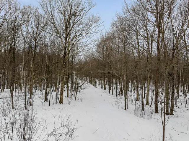 $335,000 | 115 Stone Hill Road, Bolton, VT 05465