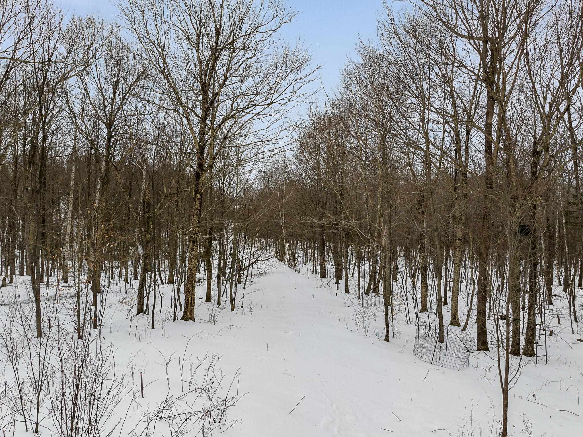 115 Stone Hill Road Bolton, VT 05465 - Photo 3 of 54
