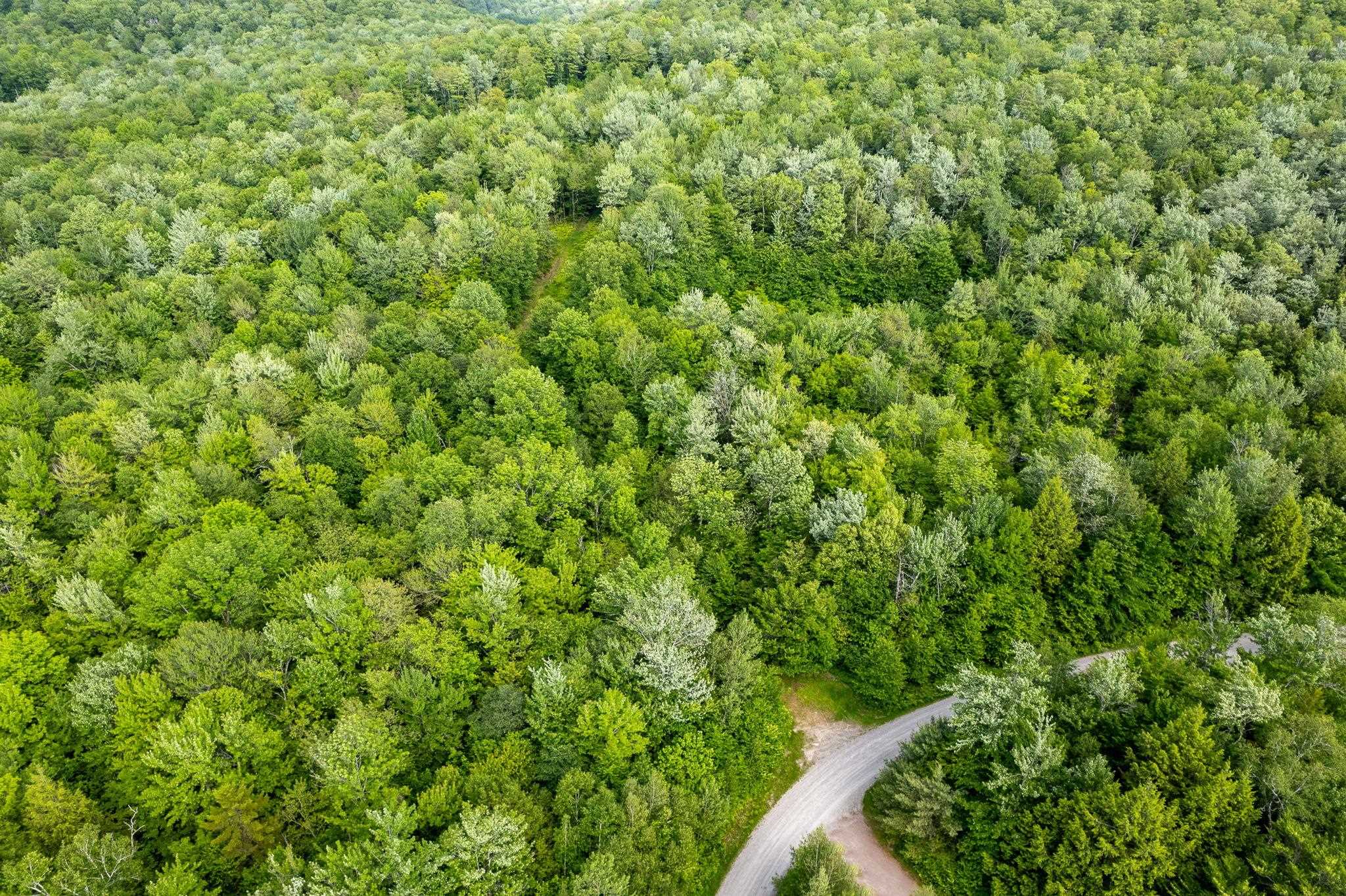 115 Stone Hill Road Bolton, VT 05465 - Photo 34 of 54