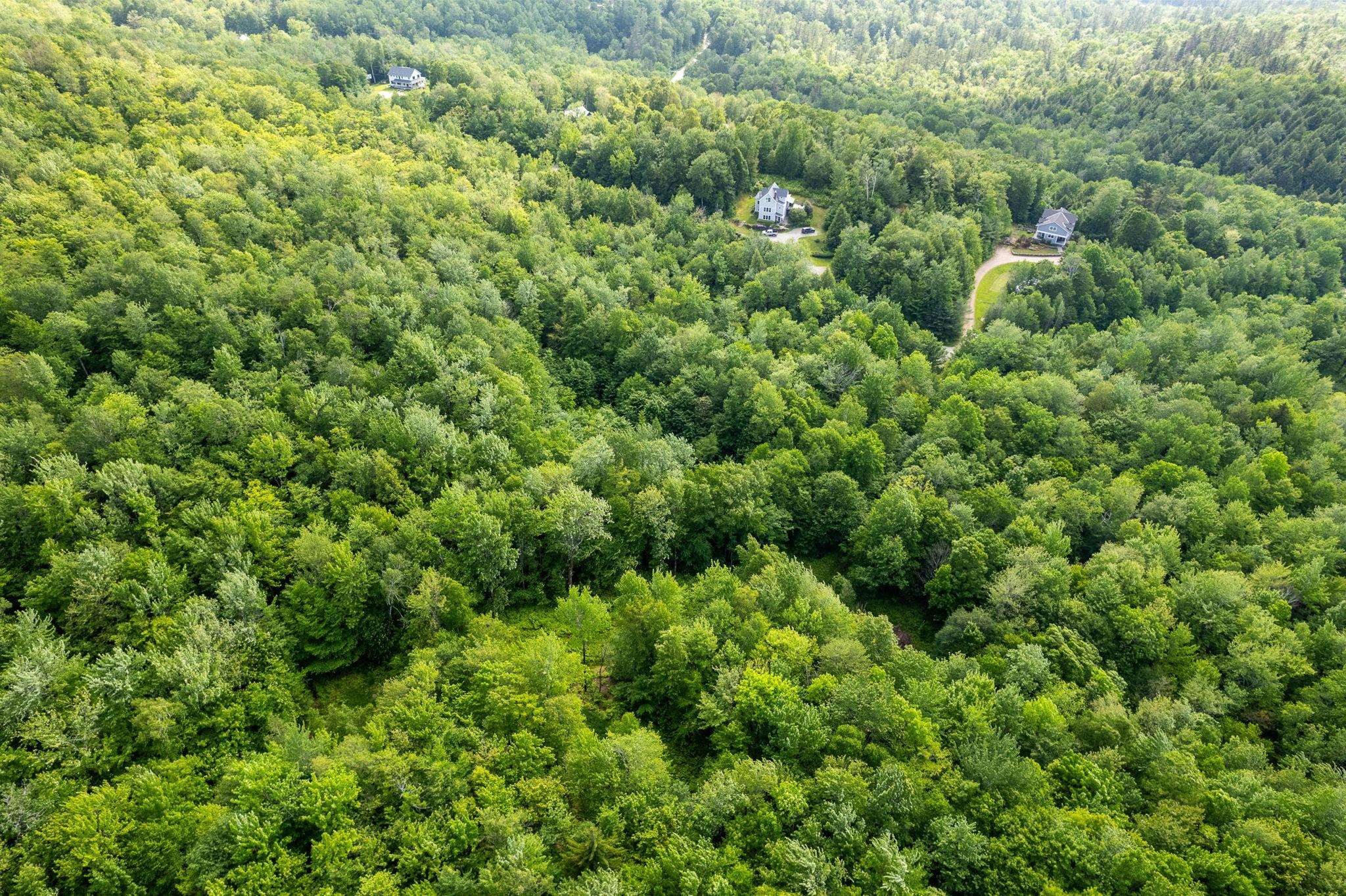 115 Stone Hill Road Bolton, VT 05465 - Photo 35 of 54