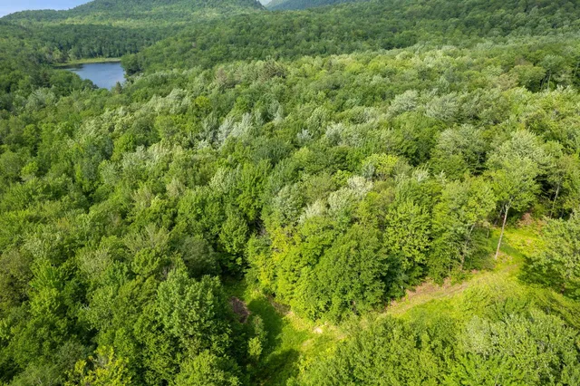 $335,000 | 115 Stone Hill Road, Bolton, VT 05465