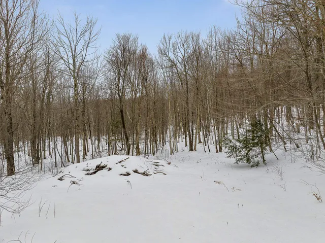 $335,000 | 115 Stone Hill Road, Bolton, VT 05465