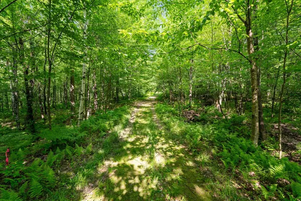 $335,000 | 115 Stone Hill Road, Bolton, VT 05465
