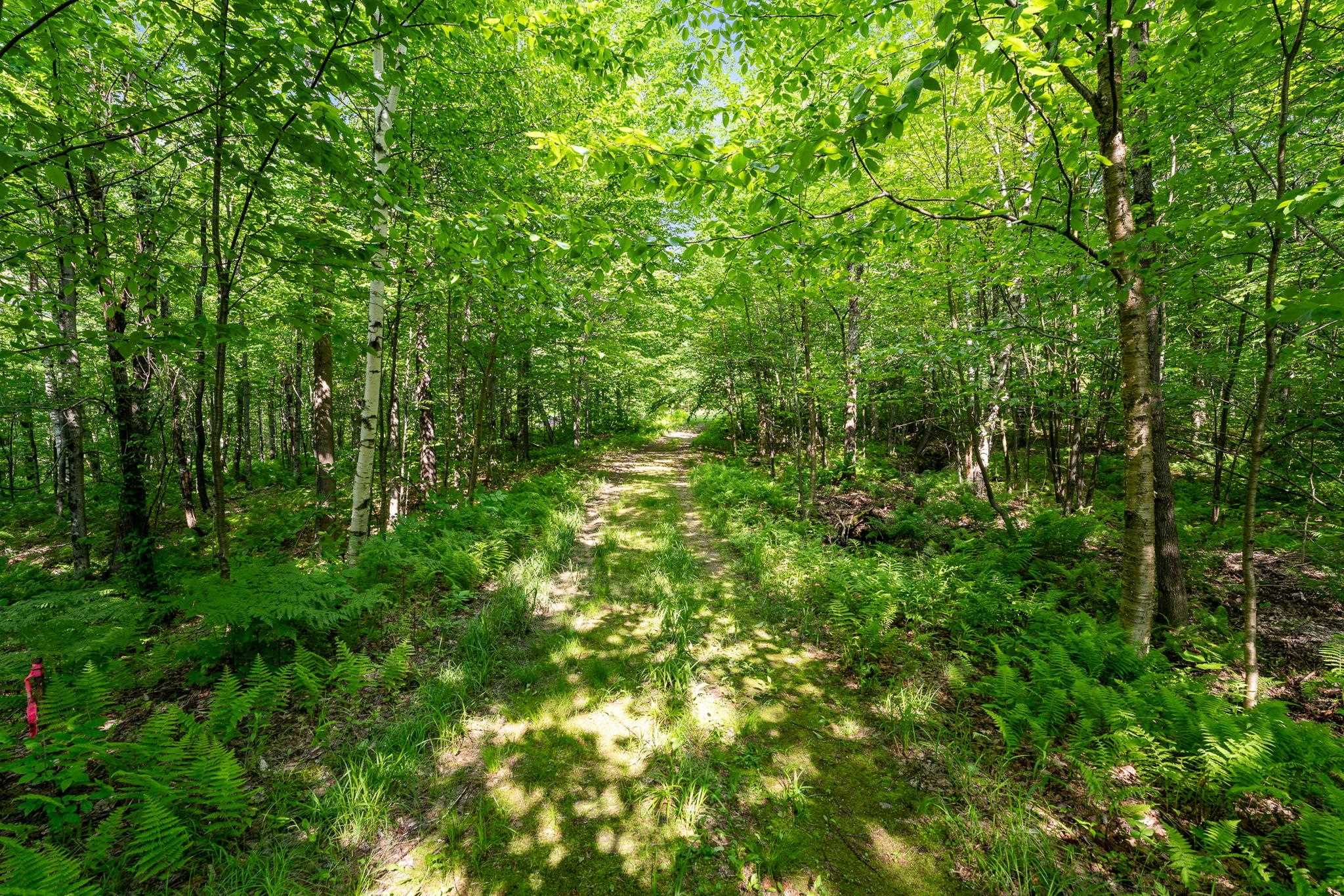 115 Stone Hill Road Bolton, VT 05465 - Photo 42 of 54