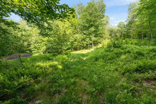 $335,000 | 115 Stone Hill Road, Bolton, VT 05465