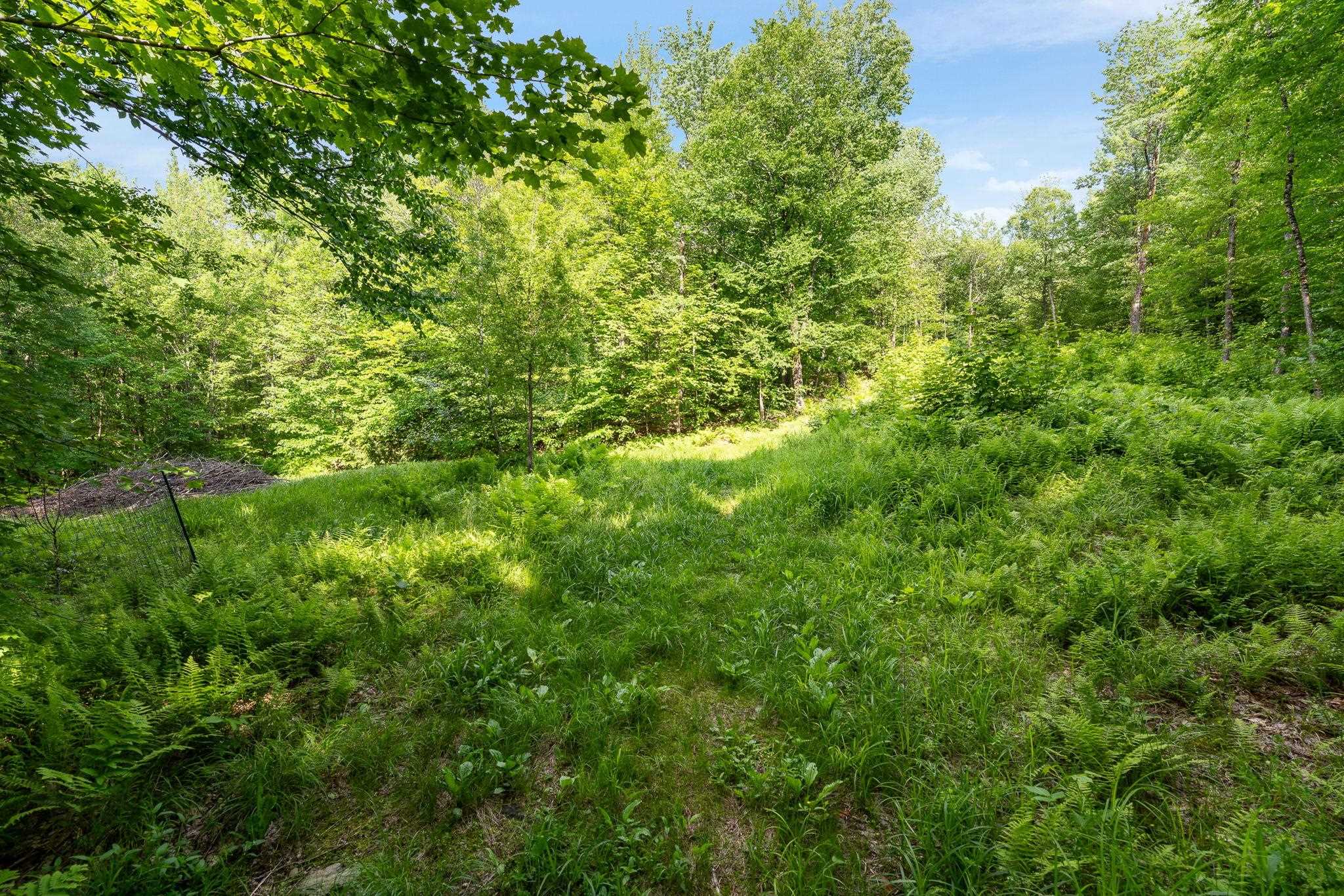 115 Stone Hill Road Bolton, VT 05465 - Photo 44 of 54