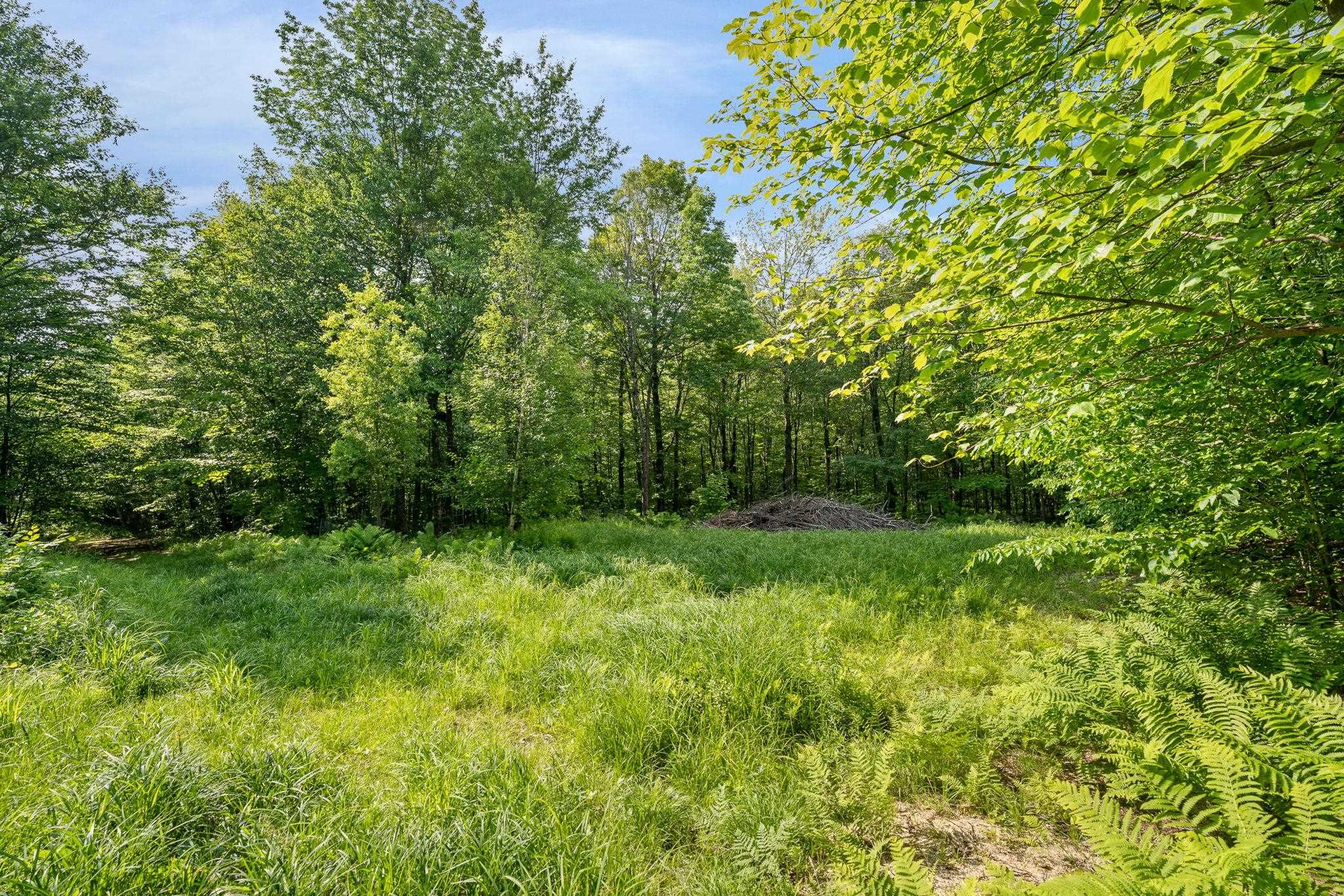 115 Stone Hill Road Bolton, VT 05465 - Photo 45 of 54