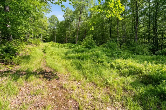 $335,000 | 115 Stone Hill Road, Bolton, VT 05465