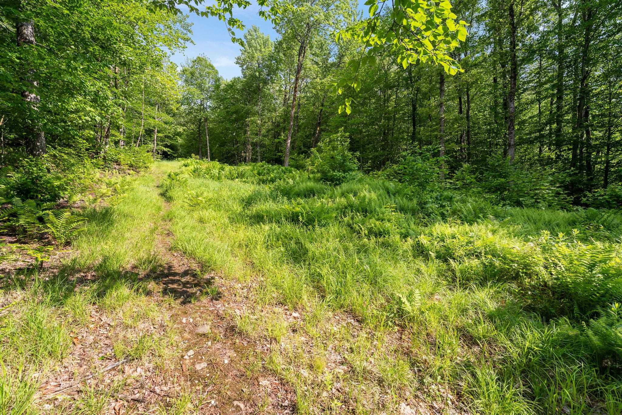 115 Stone Hill Road Bolton, VT 05465 - Photo 47 of 54
