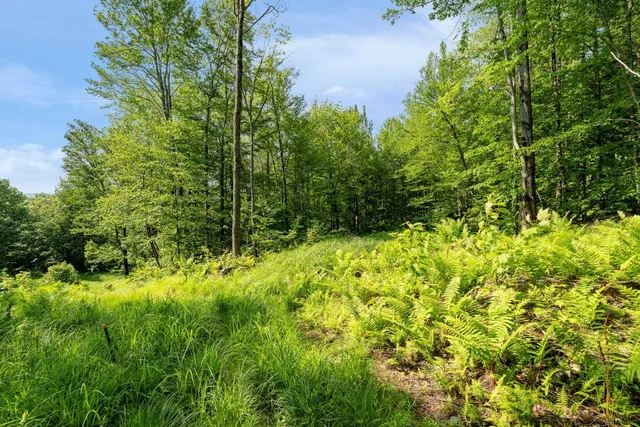 $335,000 | 115 Stone Hill Road, Bolton, VT 05465