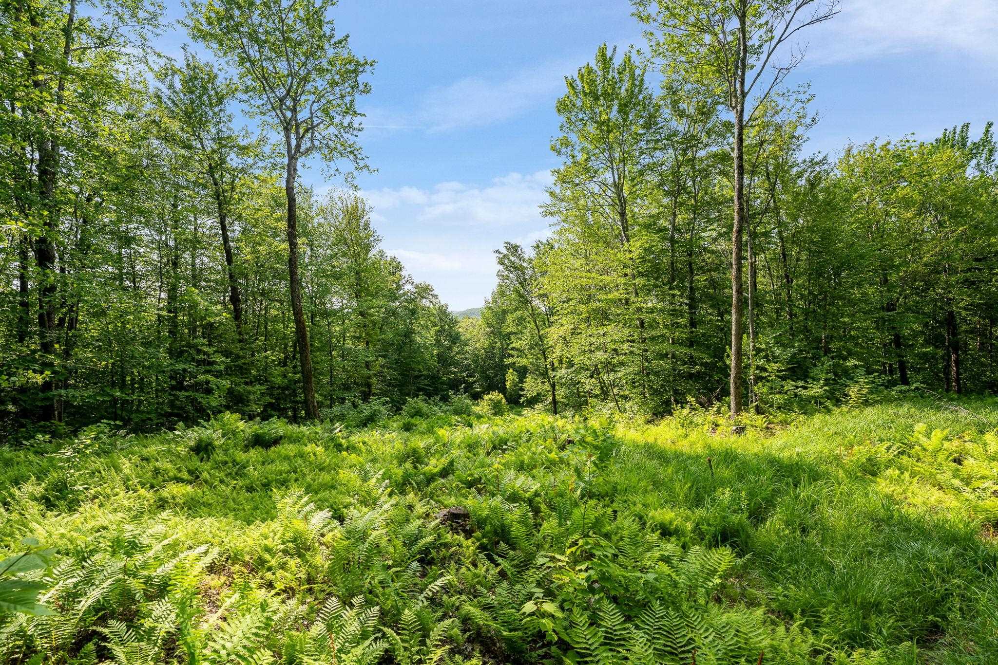 115 Stone Hill Road Bolton, VT 05465 - Photo 50 of 54